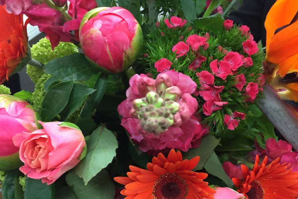 Snickel Lane Florist