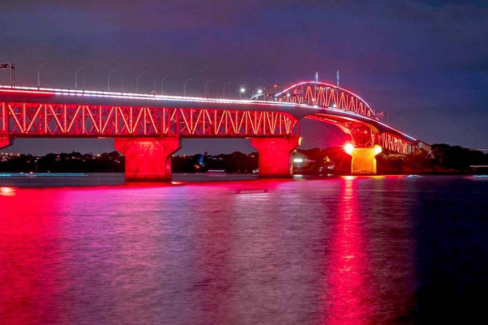 Vector Lights Lunar New Year