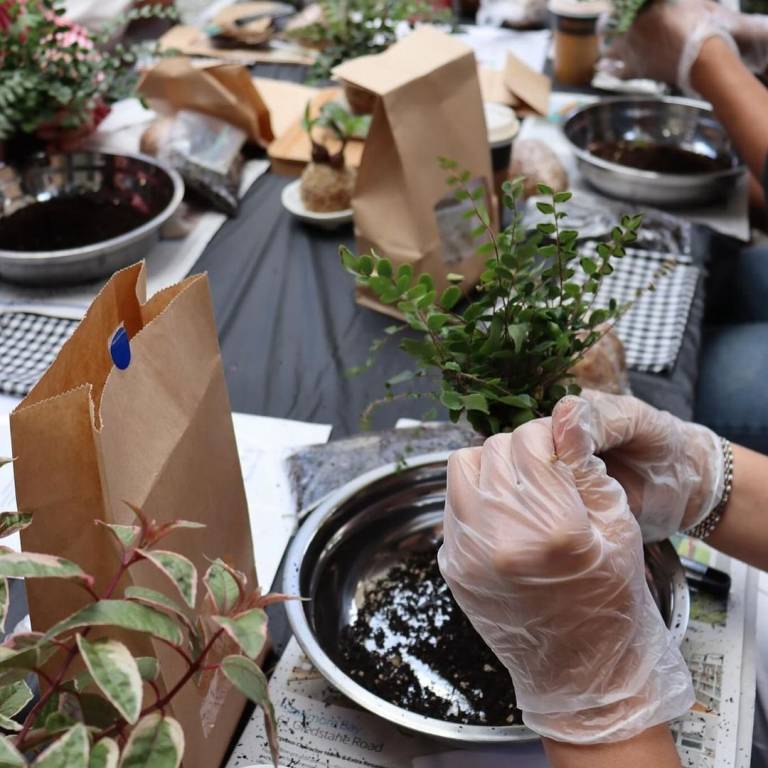 Kokedama workshop at Wonder Journal