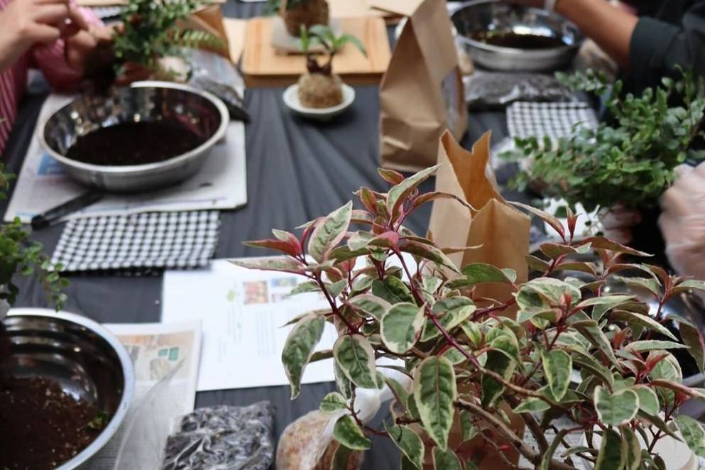 Kokedama workshop at Wonder Journal