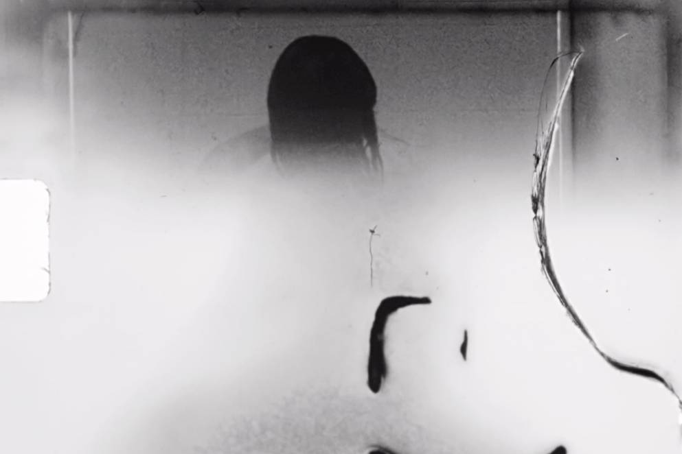 Gus Fisher - Art Week 2024