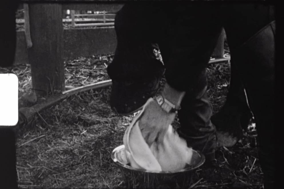 Gus Fisher - Art Week 2024