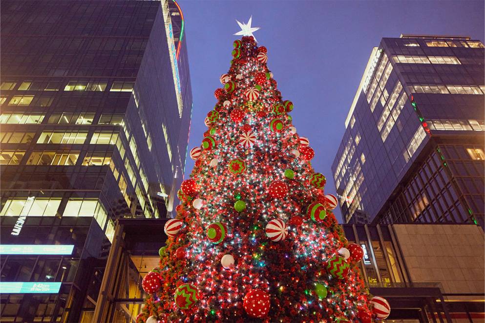 Christmas tree (Image Credits: Sacha Stejko)