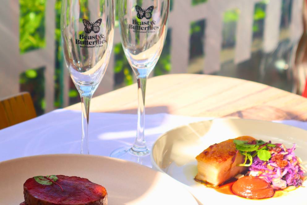 Beast & Butterflies