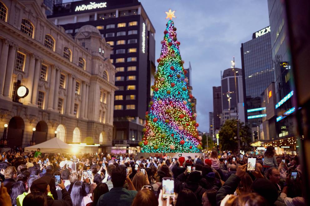 Christmas tree (Image Credits: Sacha Stejko)