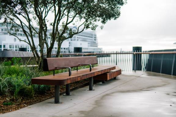 Te Wananga grove - Photo credit Auckland Council