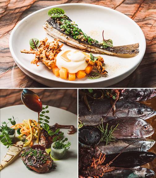 Chef-Collab-Series-Ahi