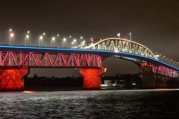 Auckland Climate Festival - Vector Lights