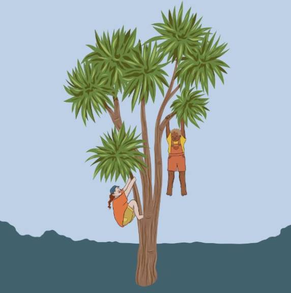 How Urban Trees Can Help