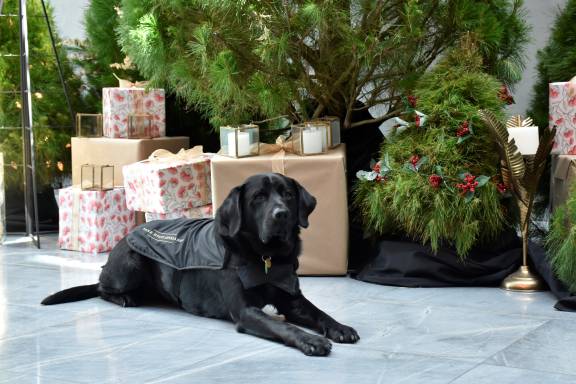 Christmas On Your Waterfront - supplied