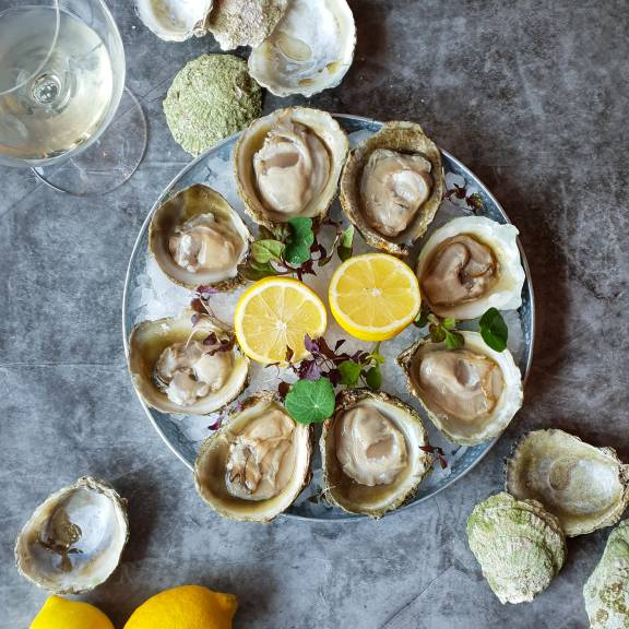 Bluff-Oysters-Beast & Butterflies 2024