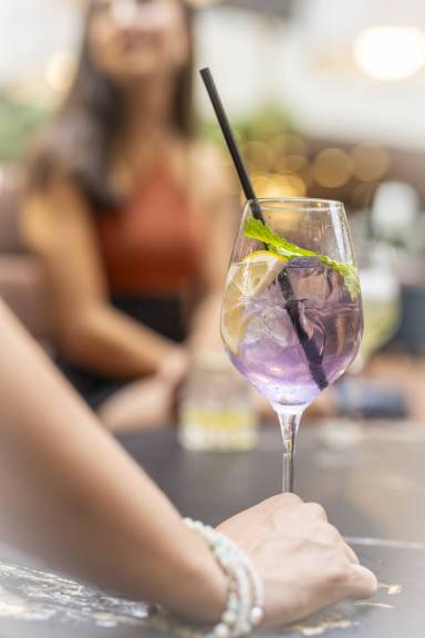The Aviary Bar - Grand Millennium