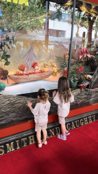 Smith &amp; Caughey's windows