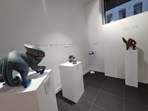 XHUBA Gallery High Street