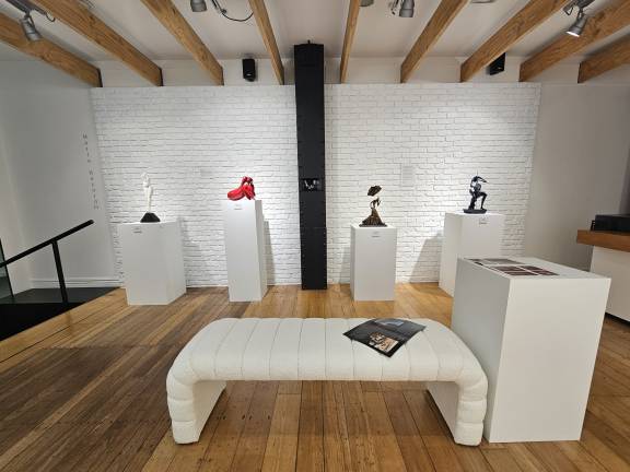 XHUBA Gallery High Street