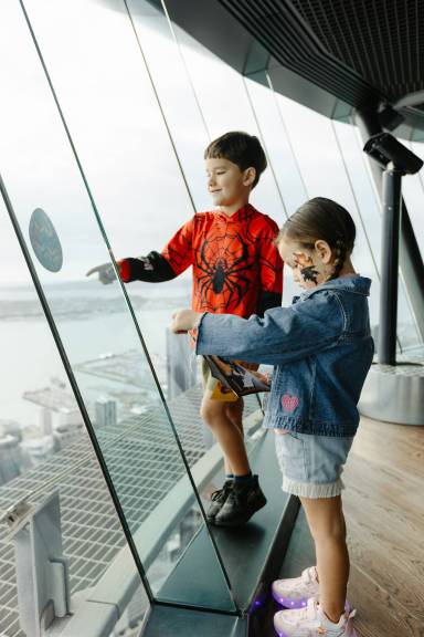 Dragons and Vikings at the Sky Tower