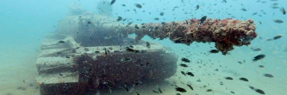 What We Choose to Remember Gus Fisher