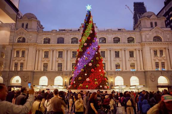 Christmas tree (Image Credits: Sacha Stejko)