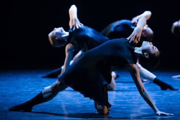 Stand to Reason Royal New Zealand Ballet Stand to Reason Royal New Zealand Ballet