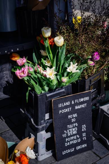 Britomart Pocket Market