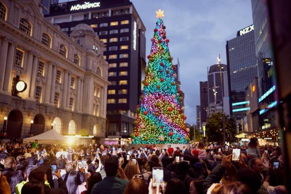 Christmas tree (Image Credits: Sacha Stejko)