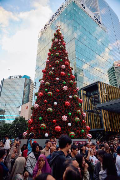 Christmas Tree (Image Credits: Sacha Stejko)