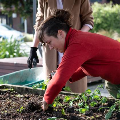 Daldy Street Community Garden 