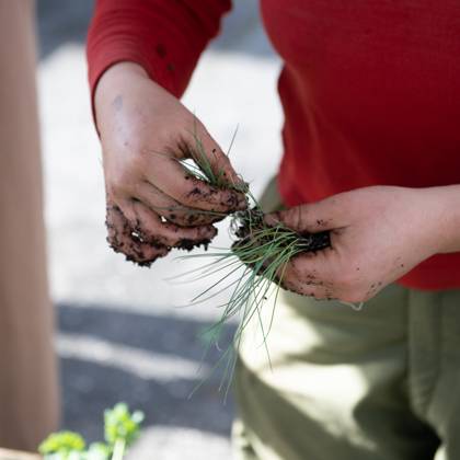 Daldy Street Community Garden 