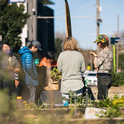 Daldy Street Community Garden 