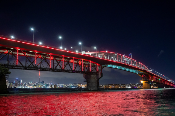 Vector Lights ANZAC Day