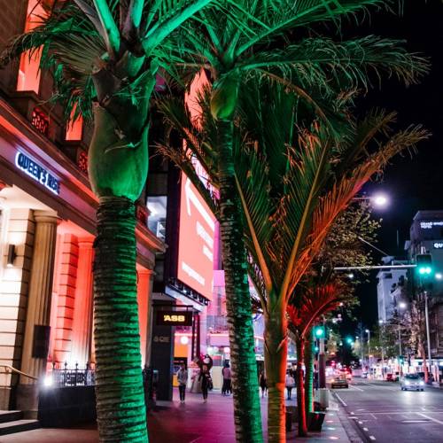 Queen-Street-Lights-1-photo-credit-Sacha-Stejko.jpg