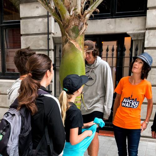 Tourists on a walking tour