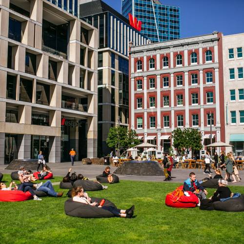Grass area in the city