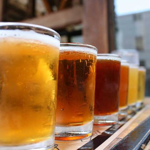 Auckland Historic Bar Tour