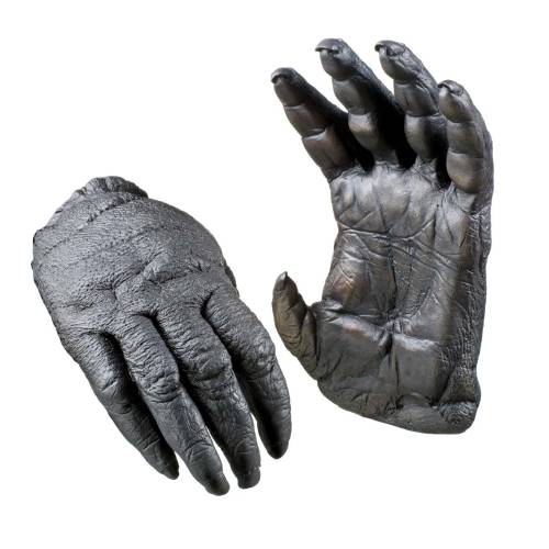 Lisa Roet, Orangutan Hands, 2005-6 Lisa Roet, Orangutan Hands, 2005-6