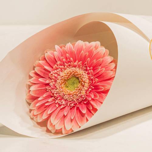 Britomart-Florist.jpg