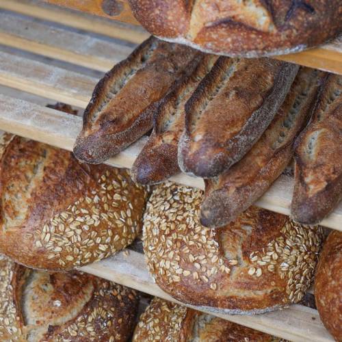 Daily Bread