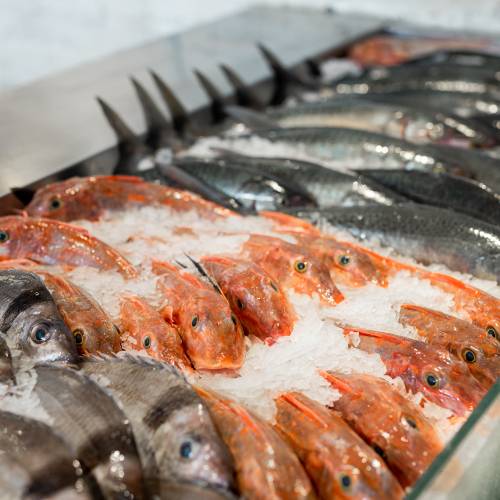 Auckland Fish Market