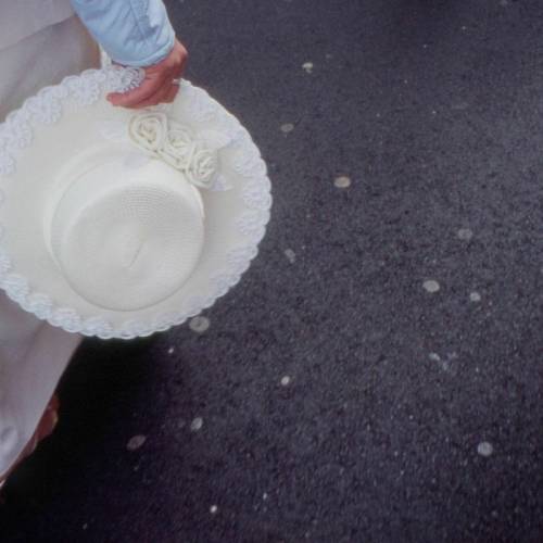 Wild Wild Life