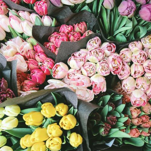 florist
