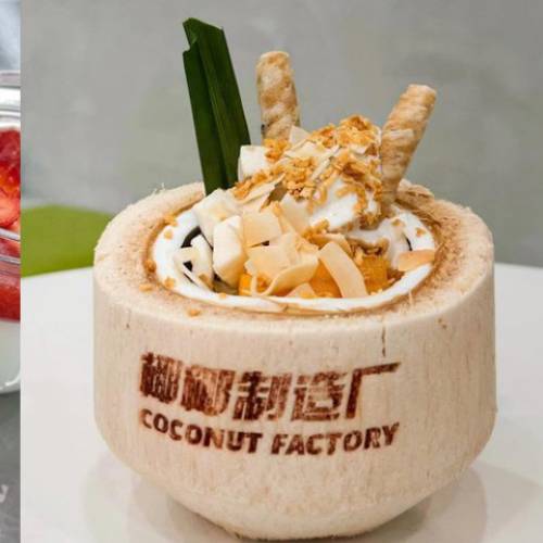 Coconut Factory banner