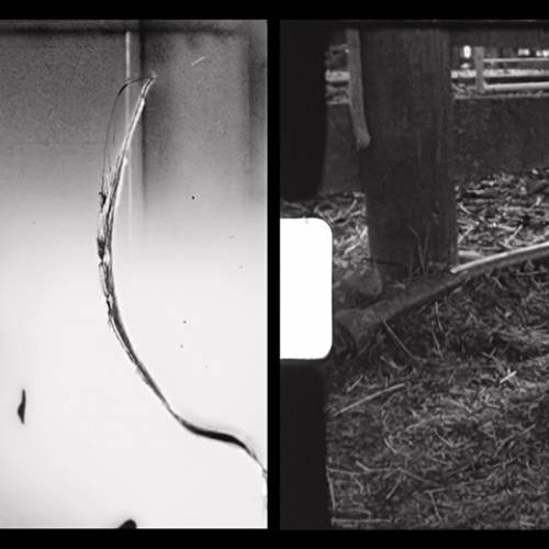 Art Week 2024 - Gus Fisher - Dayle_Palfreyman
