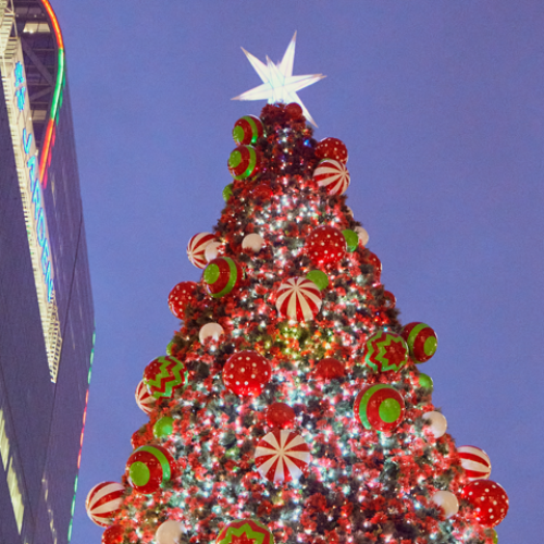 Tree banner xmas24 1