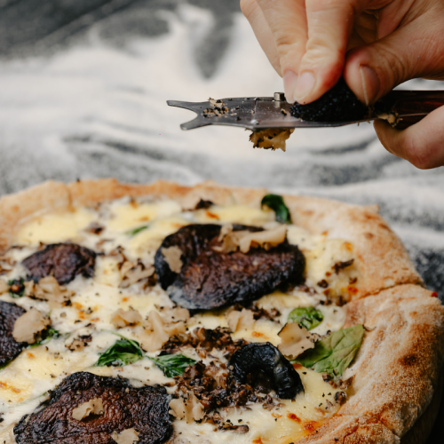 Truffle season Mozzarella &amp; Co Voco