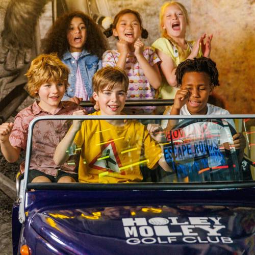Kids Deal Holey Moley