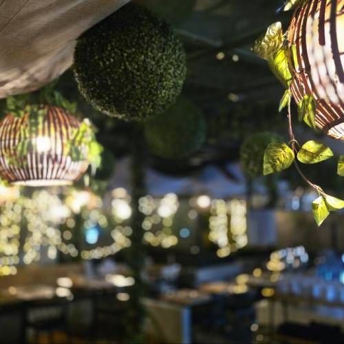 Auckland Japanese Restaurants Near Me | Heart of the City