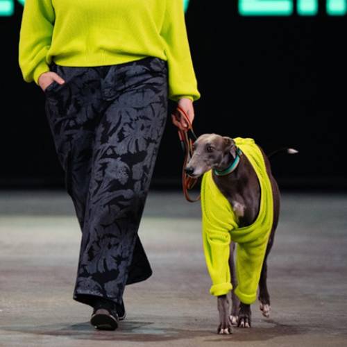 Greyhound NZFW 2025