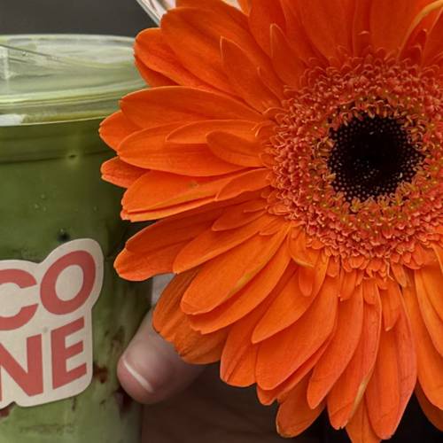 Coco Lane x Snickel Lane Florist