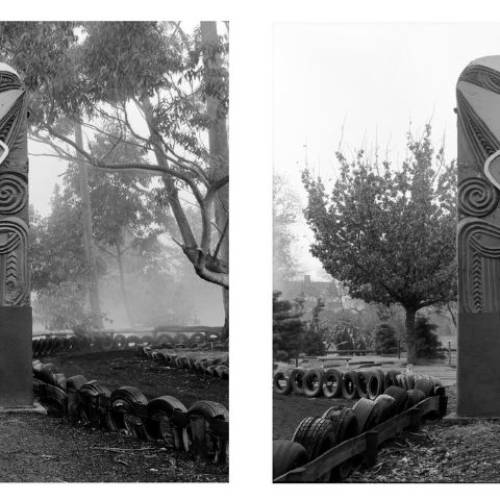 Mark Adams: A Survey | He Kohinga Whakaahua