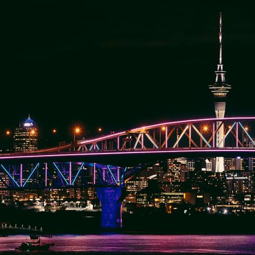 Vector Lights Waitangi Day Vector Lights Waitangi Day